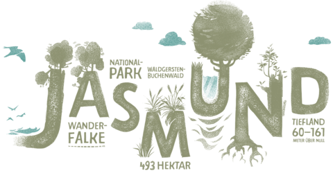 Nationalpark Jasmund Banderole