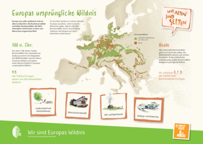 Europas ursprüngliche Wildnis