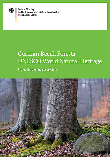 Broschure: German Beech Forests – UNESCO World Natural Heritage