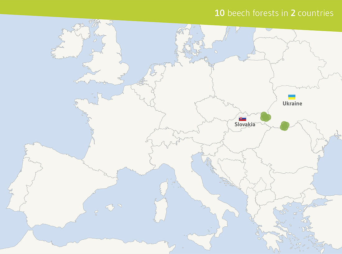 map: beech forest family 2007