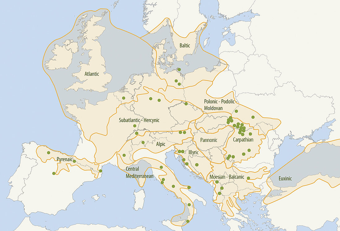 map of europe: beech forest types and component parts of the world heritage
