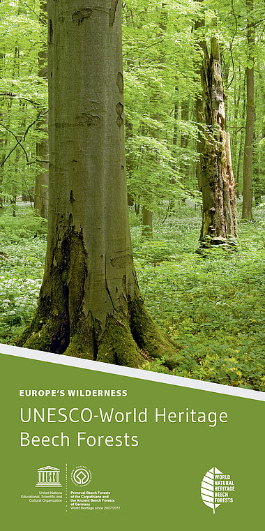 title: Europe’s Wilderness