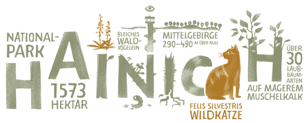 Nationalpark Hainich Banderole