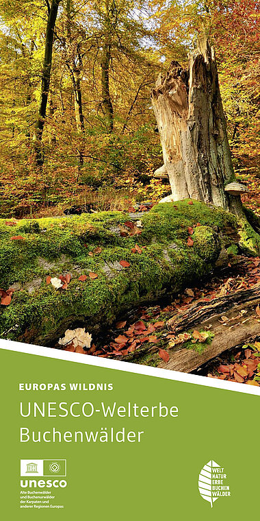 Faltblatt UNESCO Weltnaturerbe Buchenwälder (dt.) Titel Faltblatt UNESCO-Weltnaturerbe Buchenwälder